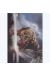 Affiche Le Monstre ; Civiello; ; Fali ; 50x70