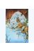 Affiche Ours ; Crisse ; 50x70