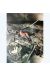 Affiche Gothic ; Gadjic ; 50x70