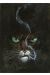 Affiche Blacksad - Guarnido - 500ex. - 18x24