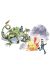 Affiche Dragon ; Lambil ; 30x40
