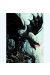 Affiche Couverture du livre dragon tome 1 - Ledroit - 50x70