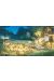 Affiche Les Passiflore 3 - Jouannigot - 500ex. - 50x70