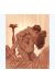 Affiche Les Aigles ; Rome N° 1 ; Marini ; Signée & Numérotée 200 ex. ; 40x50