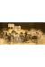 Illustration originale Martha Jane Cannary 1877-1903 tome 3