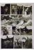 Planche originale Terre de Feu ; p°36
