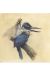 Affiche Fée sur l'oiseau bleu ; Monge ; 50x50