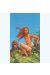 Affiche Waha ; Mourier ; 50x70