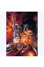 Affiche Pistolet ; Royo ; 45,5x65,5