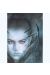 Affiche Evolution ; Royo ; 50x70
