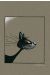 Sérigraphie Le chat par Loisel - 30x40 (signé)