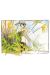 Affiche Clochette - Loisel - 30x40
