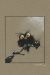 Affiche Les Zhiboux - Loisel - 18x24