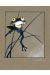 Affiche La grenouille - Loisel - 18x24