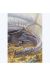 Affiche Couverture du libre Dragon tome 2 - Smith - 50x70