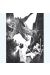 Affiche Dragon N° 12 le combat ; Varanda ; Signée & Numérotée 180 ex. ; 30x40