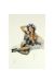 Affiche image du Portfolio PIN UP n°9 ; Varanda ; Signée & Numérotée 99 ex. ; 21x29