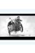 Affiche Don Camillo ; Vincent ; 30x40