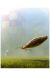 Affiche Banncars - Harry Potter Nimbus 2000