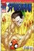 Spider-Man (2e série) tome 11 - La fin de spider-man (éd. 2000)