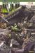Hulk (World War Hulk) tome 4