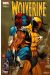 Wolverine (1re série) tome 179 - Cible : Mystique! (1) (éd. 2008)