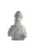 Buste porcelaine - Haddock (Brillant)
