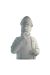 Buste porcelaine - Haddock (Mat)