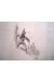 Dessin original de Ciro Tota - illustration, crayon, Photonik - encre, 21cmx29cm